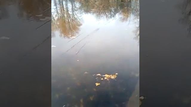Закончилась место рыбалка