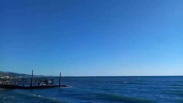 ВФ Сочи у моря в декабре +14