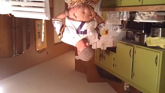Tiger Fan Wiggle