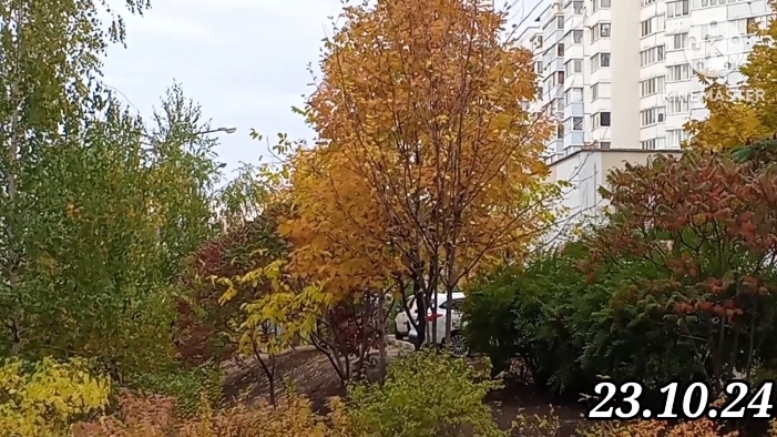 Домашнее видео//Хроника дней//октябрь 2024 Белгород