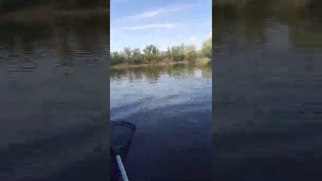 подсаку давай!!!