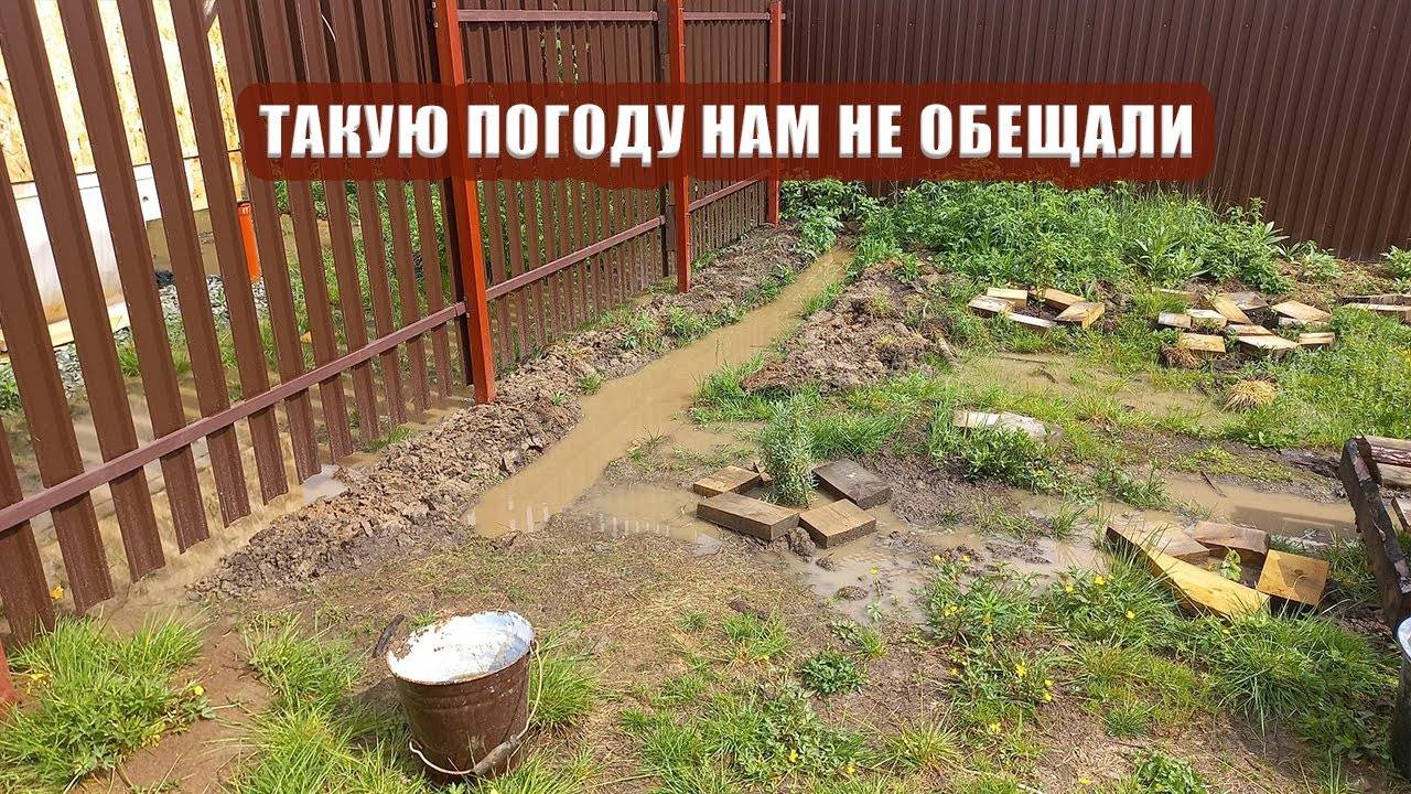 Такую погоду нам не обещали. Машина опять не заводится