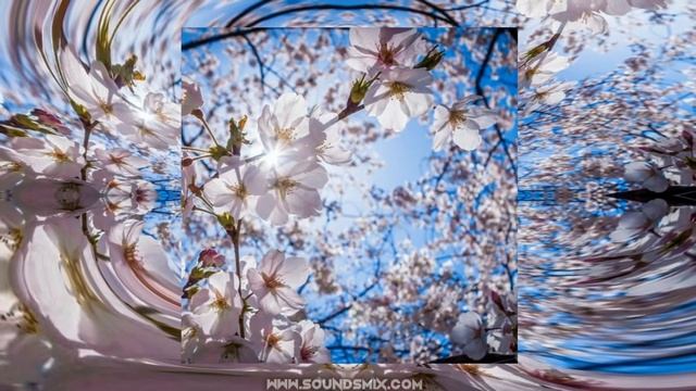 Tokyo Music Walker - Memories of Spring [Музыка без авторских прав]