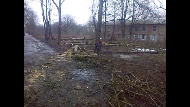 Парк Штиглица   20180104. Ивангород