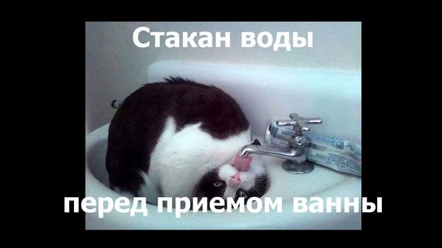Как правильно пить воду
