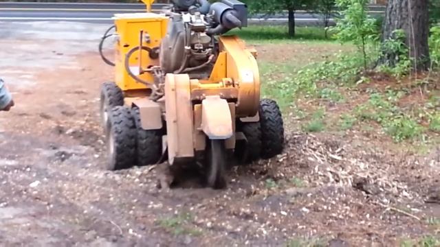 Уберает пенек и корни деревьев // Stump Grinding in my yard a while ago.