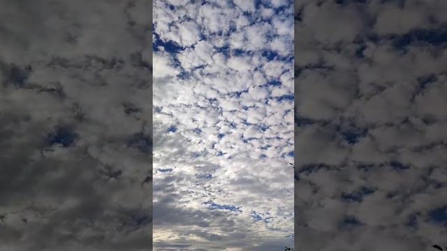 Доброе утро ☀️🤗