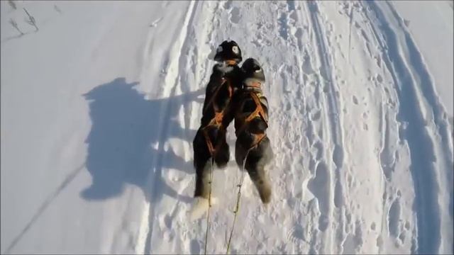 Экскурсионный тур "В Сибирь по доброй воле"
