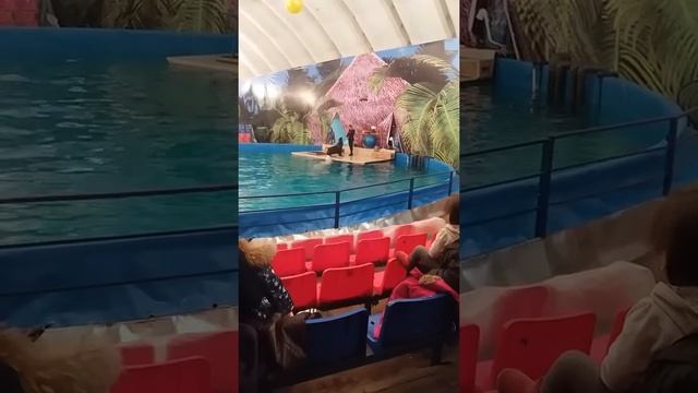 Дельфинарий Астана Лиза Новикова