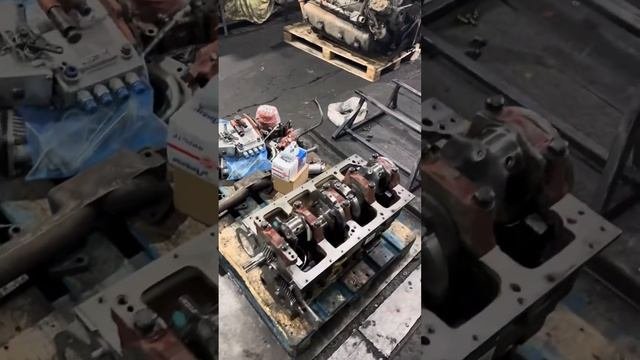 Ремонт Двигателя МТЗ, ЮМЗ, Т-150, ЯМЗ,МАЗ,ЗИЛ,Д240,Д245,ДТ75, от АДИРОН Мелитополь +79900261068 Саш