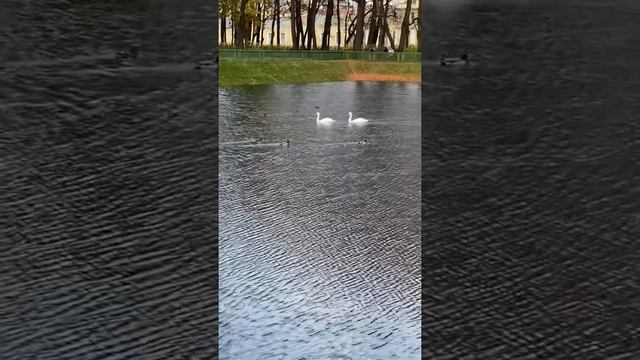 VLOG✌🏻Мой влог поход в музей и прогулка☺️😱