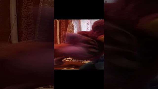 🚌6 часть 2 сезон мягких игрушек 🐰