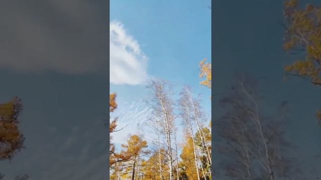 Миасс