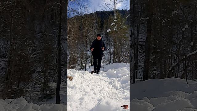 Просто случайно