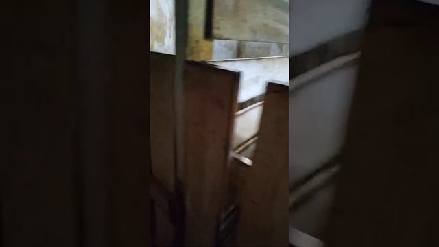 Маленькая экскурсия по козам.... Сегодня будет окот Моти....