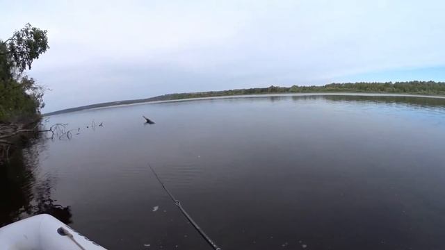 Ловля спиннингом летом в цветущей Волге.