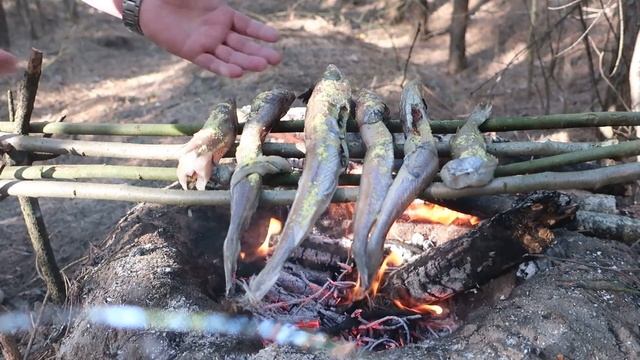 26.03.20г рыба на костре 🔥🐟
