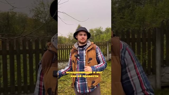 обработка сада осенью
#огород #осенняяобработка