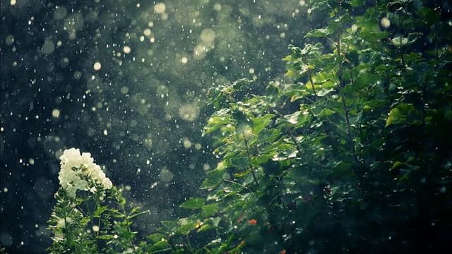 Annie's Song