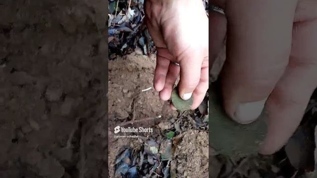 Ух какой крупняга выпал