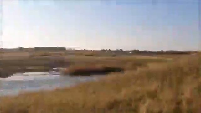 Онлайн проект "Бұл біздің Меңдіқара", посвященный 90 летию Мендыкаринского района