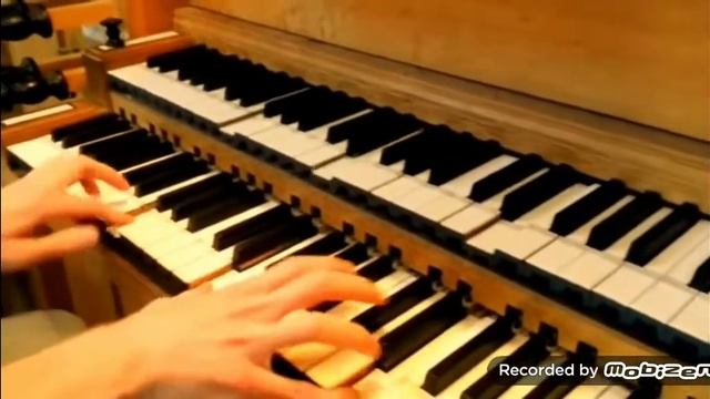 Музыка на органе Пираты Корибского моря!!!
