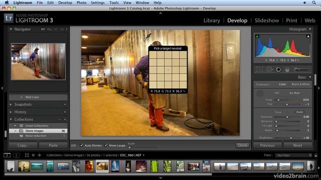 adobe lightroom White Balance
