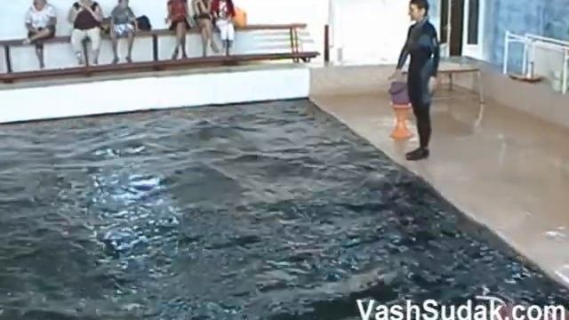 Дельфинарий  Экскурсия из Судака