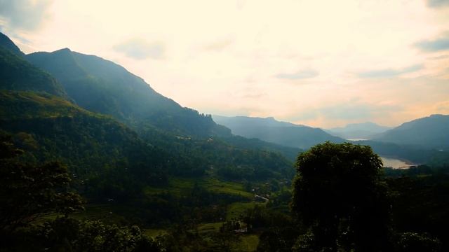 Sri Lanka_Экскурсия_обзорная площадка_Video Dubrovsky