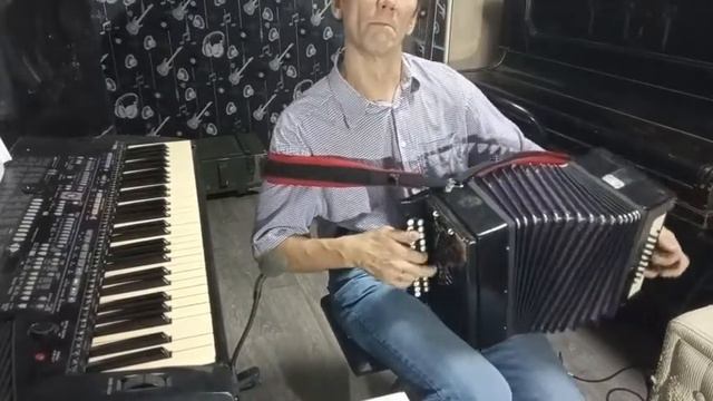 Барыня авторский наигрыш на гармошке.