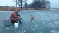 Мощные поклёвки ЩУКИ, ОКУНЯ и ПЛОТВЫ на КАРАСЯ