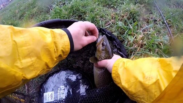 форель на воблер, Франция.#sportex #khamsin#zipbaits#bachforelle #