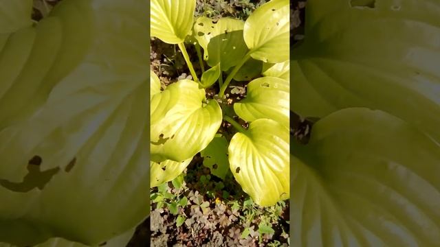 VID 20210912 115234