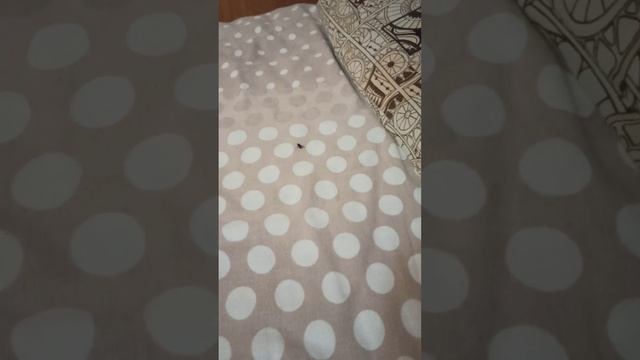 Мотель, в котором не стоит останавливаться на ночлег. Алан - худший мотель на трассе М-7