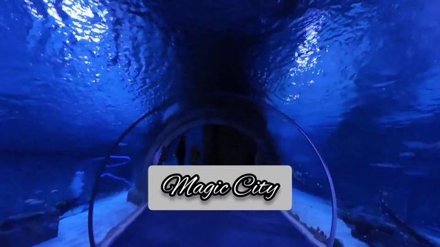 Magic City Tashkent 🧚🧚🧙🧙🦸🦸 Aquarium 🏖️ Океанариум Ташкент 🌄🌄Отдых и развлечения 🏝️🏝️ Узбекистан 202