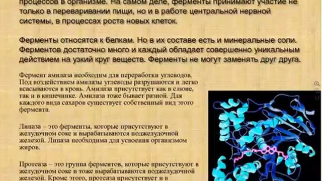 Школа по продукту  Skinny fiber Н.Щербакова !!!