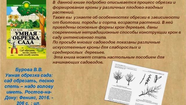 «Мир книг и весь мир в книгах…»