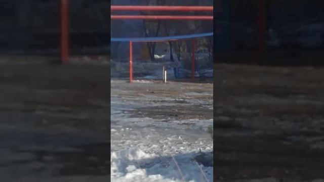 Спортивный Омск