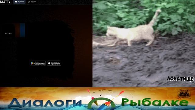 РУССКАЯ РЫБАЛКА 4 СТРИМ  Русского Медведя /