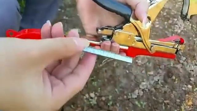 cara pakai tapetool
