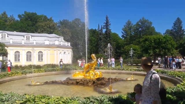 19 июня 2023 г.
