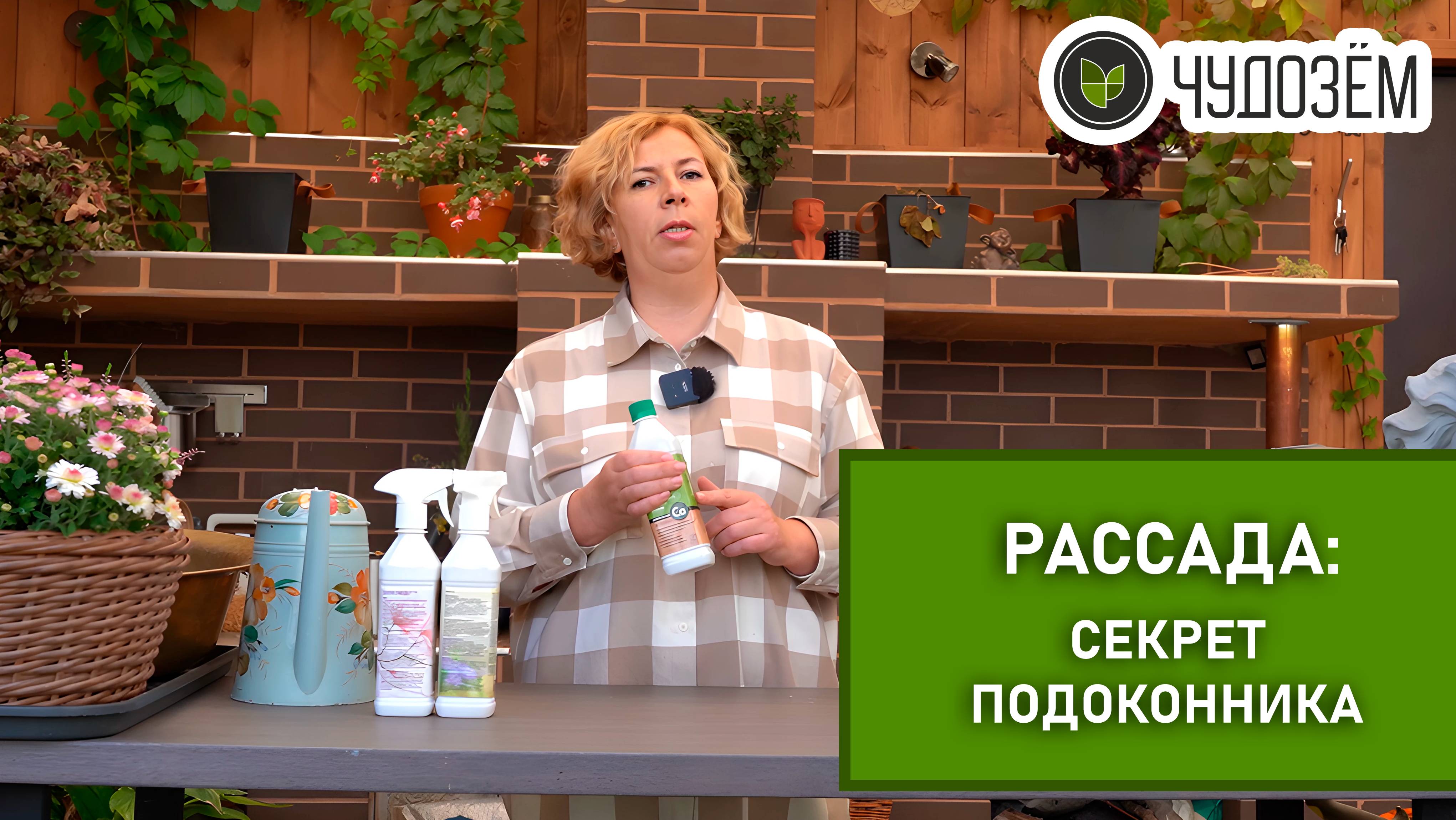 🌱💚 "Как вырастить идеальную рассаду с удобрениями Чудозём! 🥬✨"