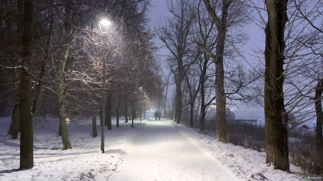 ❄️ парк Северное Тушино ❄️ в 4K HDR