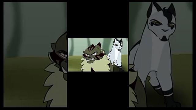 #КотыВоителиЗвездоцап