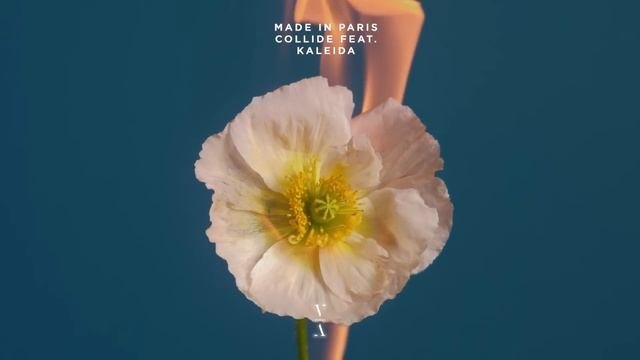 Made in Paris - Collide feat. Kaleida
