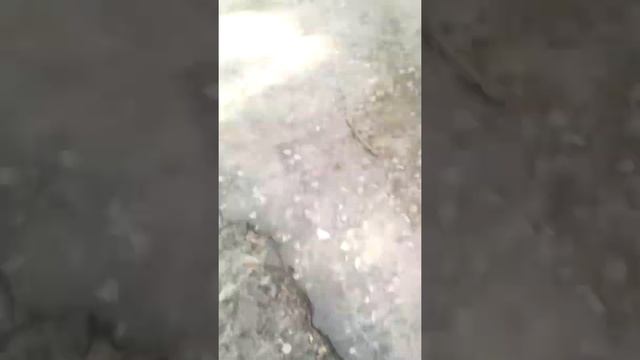 Дерьмовская шаверма никогда не покупайте в этом ларке