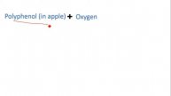 Why does apple slice gets brown in open? ( in hindi)