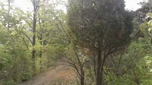 Южная Корея 27 04 2018