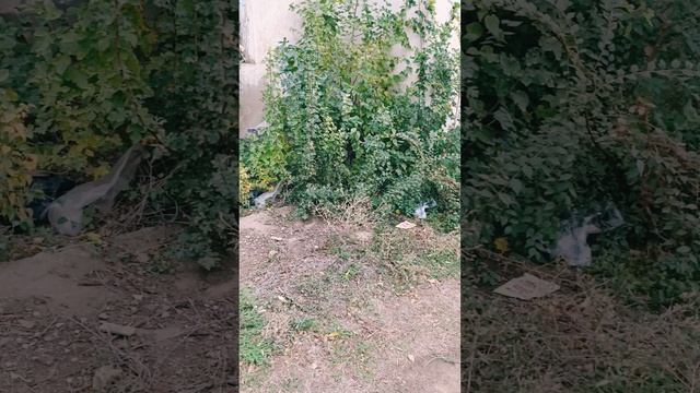 15.10.24 Видео блог