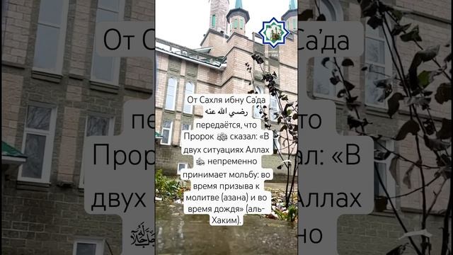 Мечеть Мадина Демский район Уфа #ислам #islam #дождьзвукидождя